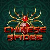 Chinese Spider