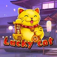 Lucky Cat