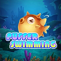 Puffer Swimming