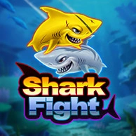 Shark Fight