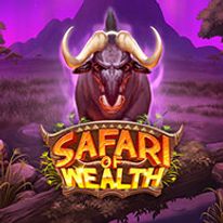 Safari of Wealth