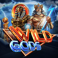 Wild Gods