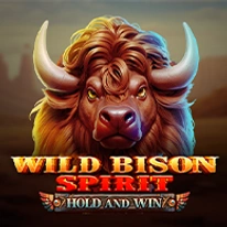 Wild Bison Spirit Hold And Win