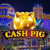 Cash Pig