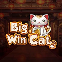 Big Win Cat