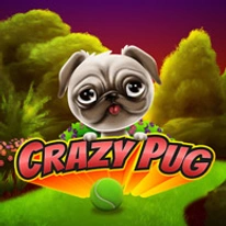 Crazy Pug