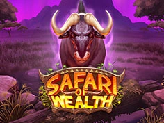 Safari of Wealth