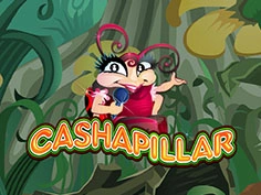 Cashapillar