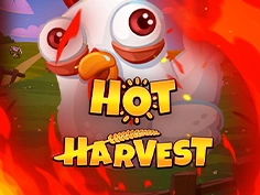 Hot Harvest
