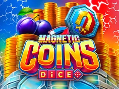 Magnetic Coins Dice
