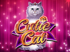 Cutie Cat