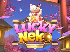 Lucky Neko