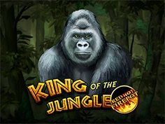 King Of The Jungle Red Hot Firepot