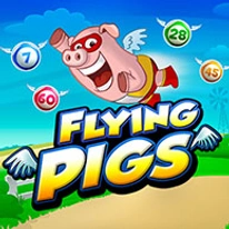 Flying Pigs