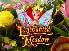Enchanted Meadow