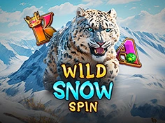 Wild Snow Spin