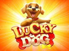 Lucky Dog 