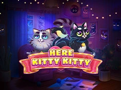 Here Kitty Kitty