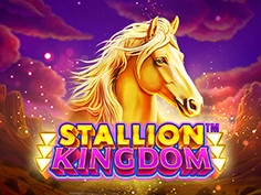 Stallion Kingdom