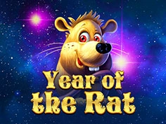 Year of The Rat