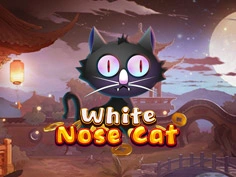 White Nose Cat