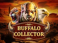 Buffalo Collector