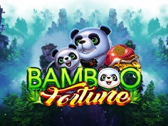 Bamboo Fortune