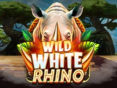 Wild White Rhino