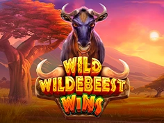 Wild Wildebeest Wins 