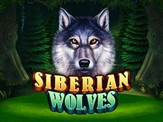 Siberian Wolves