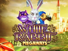 White Rabbit