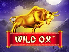 Wild Ox