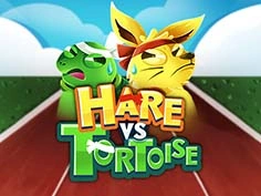 Hare vs Tortoise