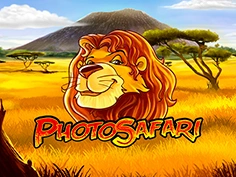 Photo Safari