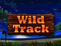 Full Moon: Wild Track