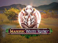 Majestic White Rhino