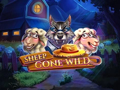 Sheep Gone Wild