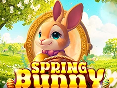 Spring Bunny