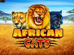 African Cats