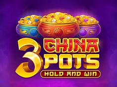 3 China Pots