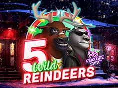 5 Wild Reindeers