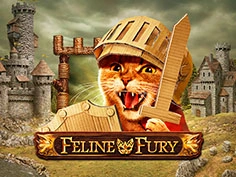 Feline Fury