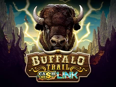 Buffalo Trail – Cash Mesh LINK