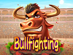 Bullfighting
