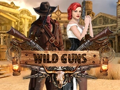 Wild Guns