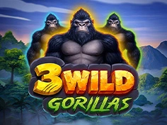 3 Wild Gorillas