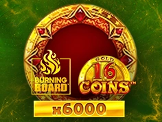 16 Coins Gold Burning Board