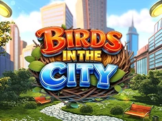 Birds In The City