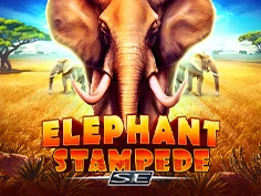 Elephant Stampede Se