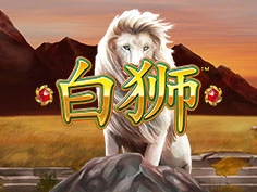Bai Shi